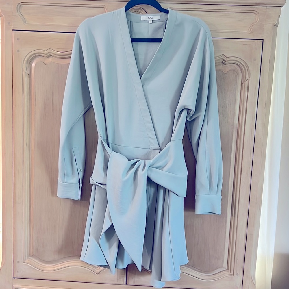 Tibi Dress.